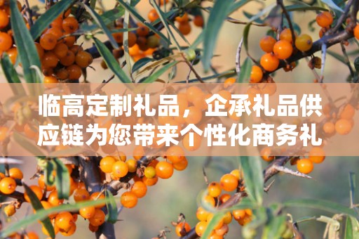 临高定制礼品，企承礼品供应链为您带来个性化商务礼品之选